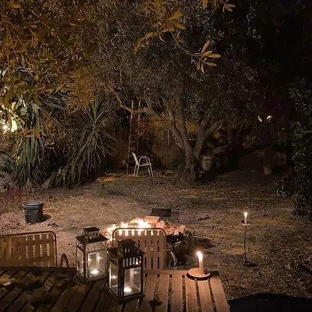 The Garden Among Lemons