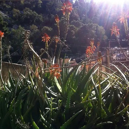 The Garden Among Lemons Scicli