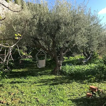 The Garden Among Lemons * Scicli