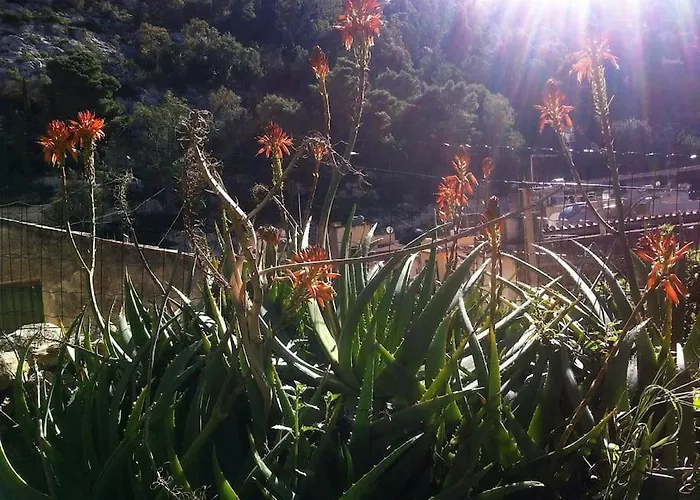 The Garden Among Lemons Scicli